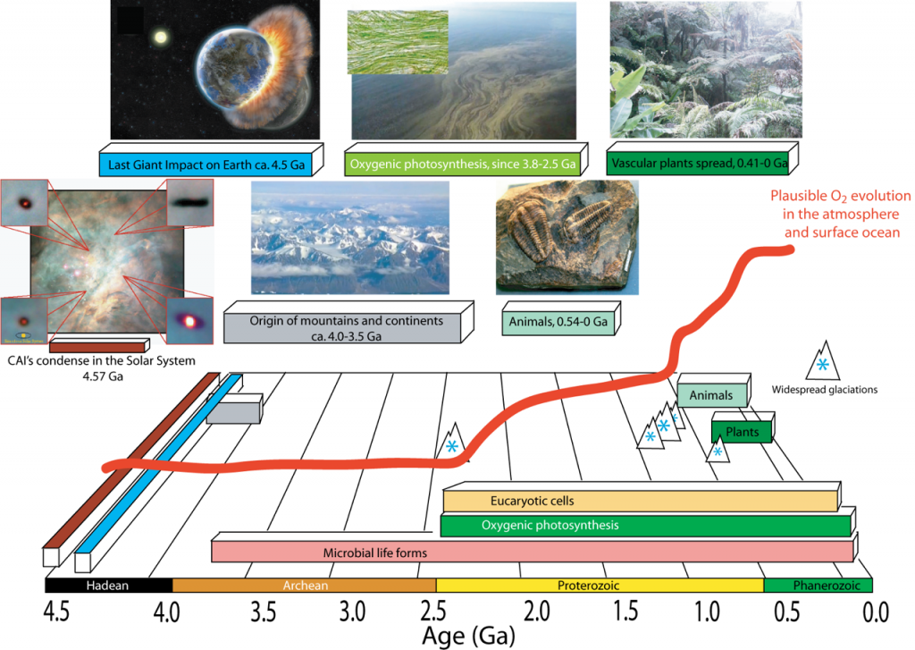 Earth is 4.5 billion years old (=4,500 million years old). Microbes evolved at least 3,800 million years ago, but animals with high oxygen demand did not show up until 550 million years ago. This led to the hypothesis that rising O2 levels triggered animal evolution on Earth.