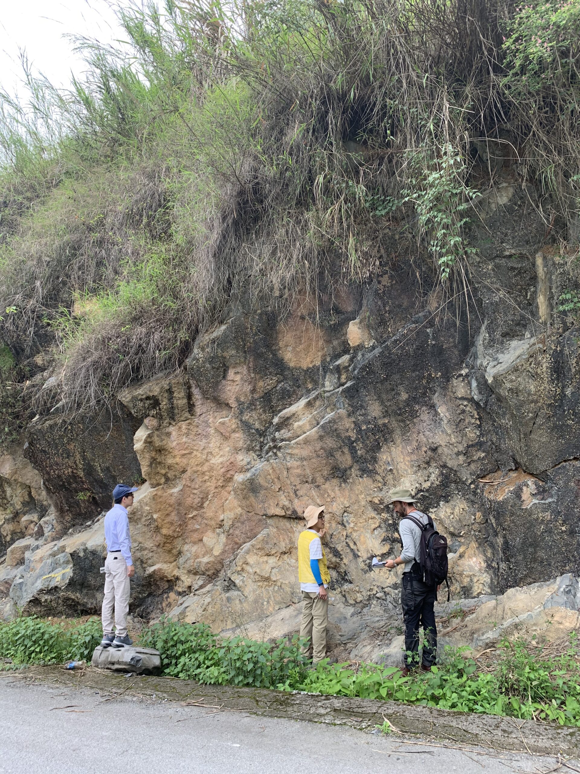 Physical weathering is the break down of rocks to smaller components (sediment). Vegetation influence that process too, but how does this all add up to changing the global production of sediment? Physical weathering is the break down of rocks to smaller components (sediment). Vegetation influence that process too, but how does this all add up to changing the global production of sediment? 